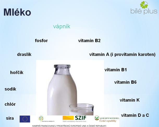 www.bileplus.cz