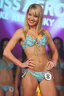 img00012.jpg