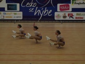 Výprava Fitness Centra Báry a Hanky Šulcové  na letošní MS v Dordrechtu