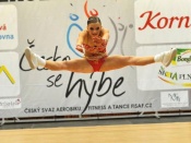 Výsledky CZECH OPEN 2013 - otevřeného Mistrovství ČR ve sport. aerobiku a FISAF fitness týmech a HipHop Unite