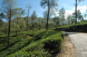 dsc-9320.jpg