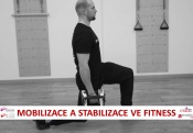 mob.stab.ve-fitness1.jpg