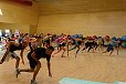 img00017.jpg