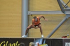 David Stauffer (USA)